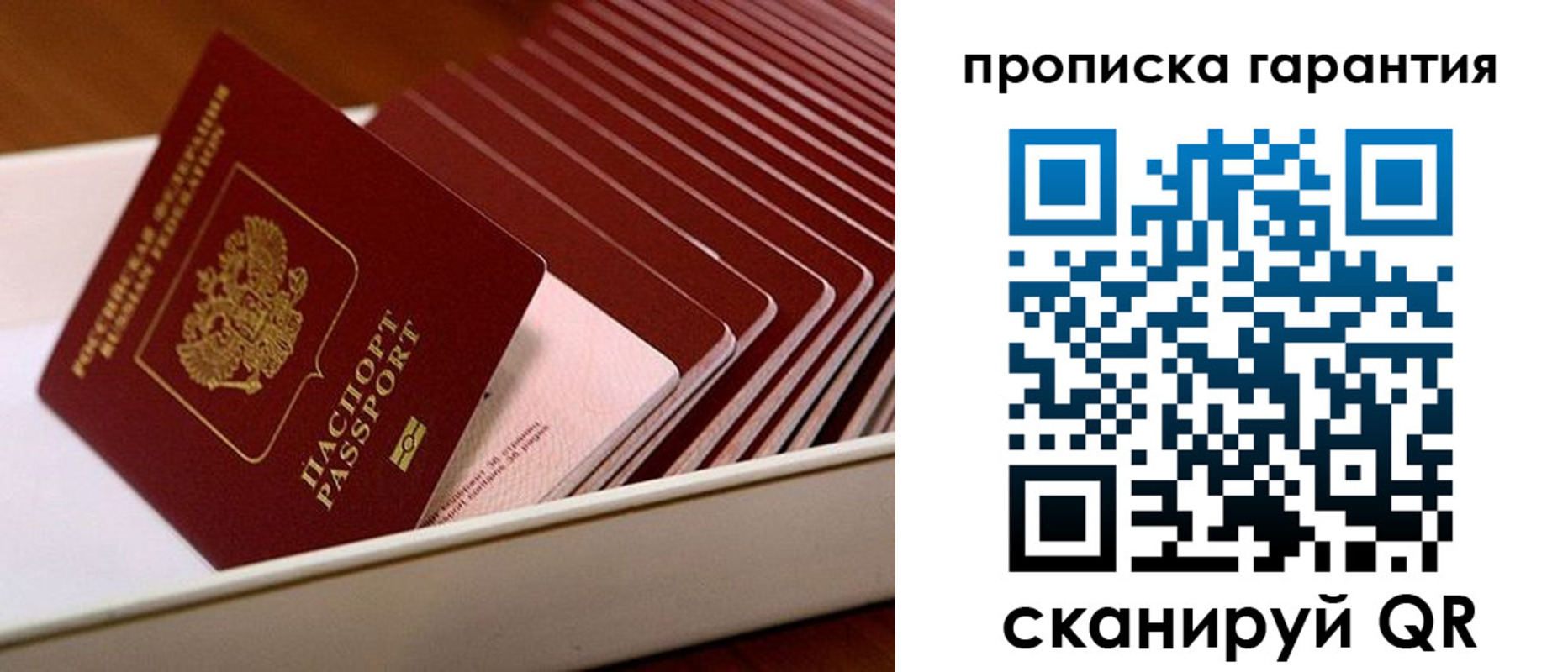 прописка поиск в Звенигово